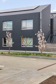 Project Haerlebout
